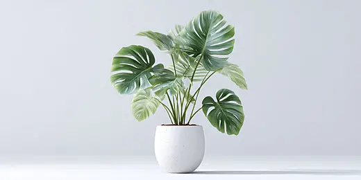 Artificial Monstera Potted Plant